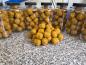 Preview: maincarp-baits - Hard Hookbaits - Pine-Peach in 23x27mm Dumbells