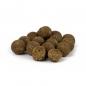 Preview: Feedstimulants HNV Insect Cream Boilies 16mm & 20mm 1kg od. 5kg