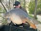 Preview: maincarp-baits - The Legend - Plum + Premium Boilies 24mm