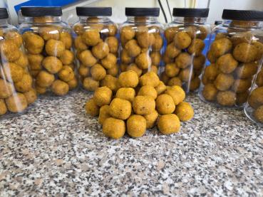 maincarp-baits - Hard Hookbaits - Pine-Peach in 23x27mm Dumbells