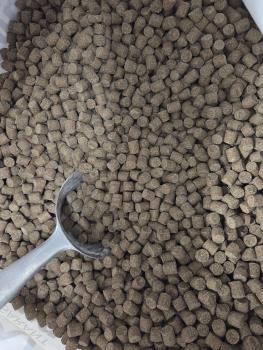 Preview: Premium Fischpellets 365 low fat 9mm Pellets NEU