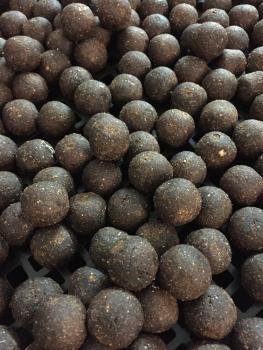 maincarp-baits Spicy-Fish 365 Boilies 2,5kg