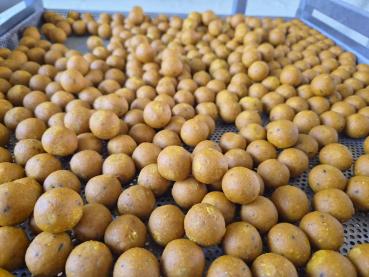 Preview: maincarp-baits  Pine-Peach Freezer Boilies  24mm OHNE KONSERVIERUNGSSTOFFE