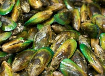 Preview: Carpstim GLM Extract Green Lipped Mussel vollfett 250ml Dose