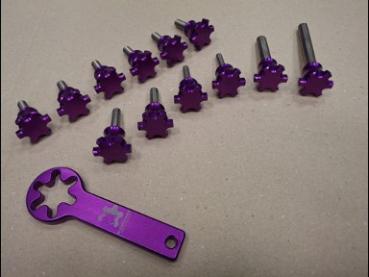 Preview: Meccanica Vadese NICK KIT - farbiger Schraubensatz NEU - rot, purple oder schwarz