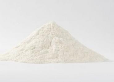 Carpstim Molkenprotein Whey Protein WPC80 Milchproteinpulver