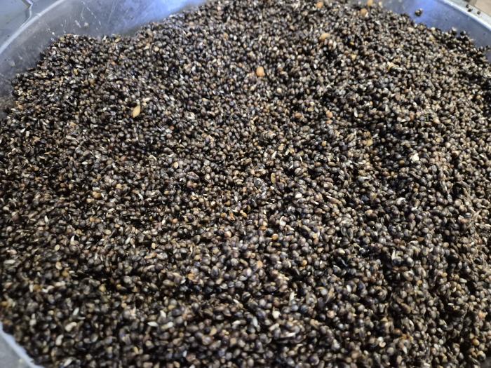 Hanf natur ready to use 1kg