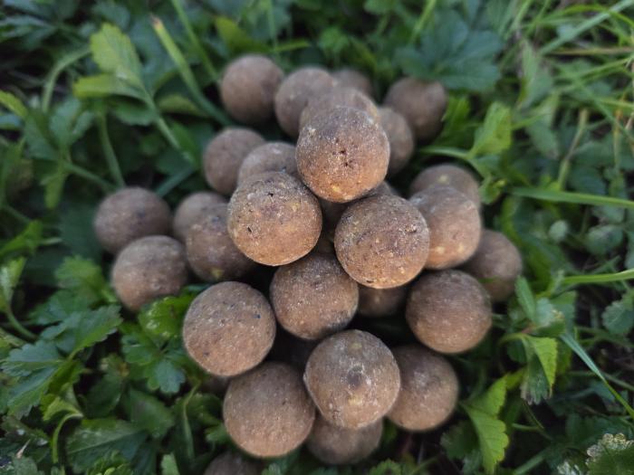 maincarp-baits - Wintercream Amino Boilies 16mm - 1kg