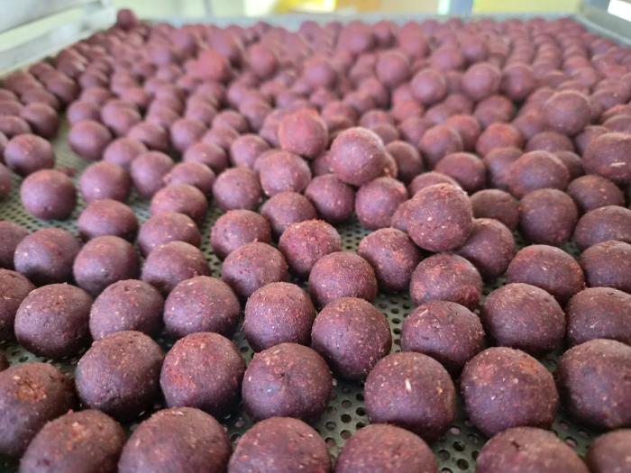 maincarp-baits - Monsterspice 24mm Boilies - Sonderrollung