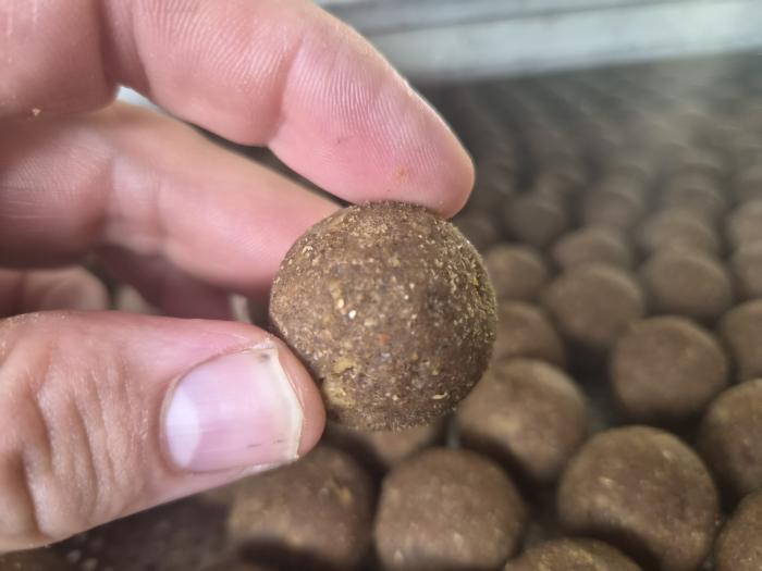 maincarp-baits - Summer Secret Fish - Kohlenhydratboilie  Sommerboiles 2,5kg