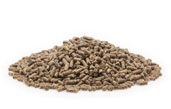 Carpstim Karpfenaufzuchtpellets Cyprinin 5mm 25% Protein 2,5kg
