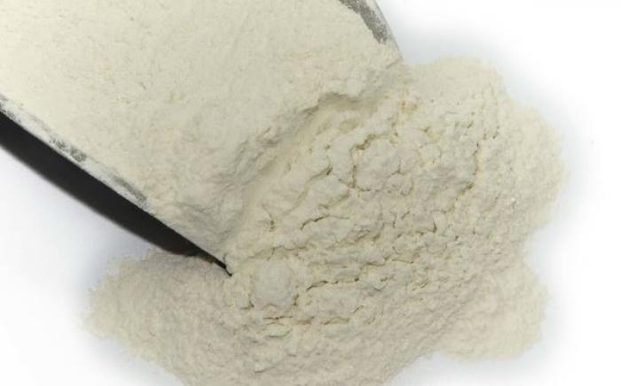 Carpstim Premium Vitamaelo Milchpulver 1kg